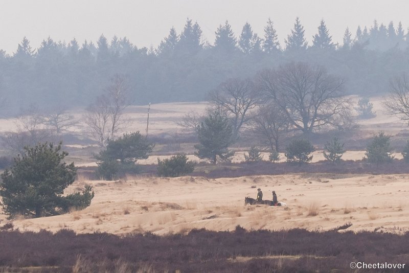 P1380292.JPG - 2018-03-11 Loonse en Drunense Duinen