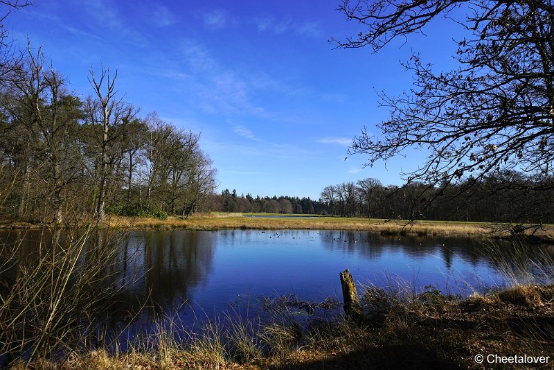 DSC04743.JPG - Nationaal Park de Hoge Veluwe