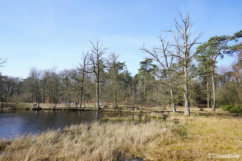 DSC04770.JPG - Nationaal Park de Hoge Veluwe