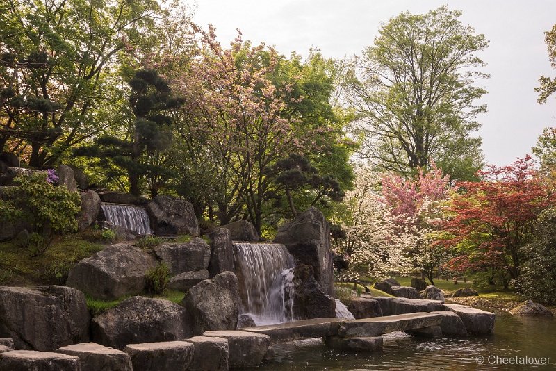 _DSC0051.JPG - Japanse Tuin, Hasselt, Berlgië