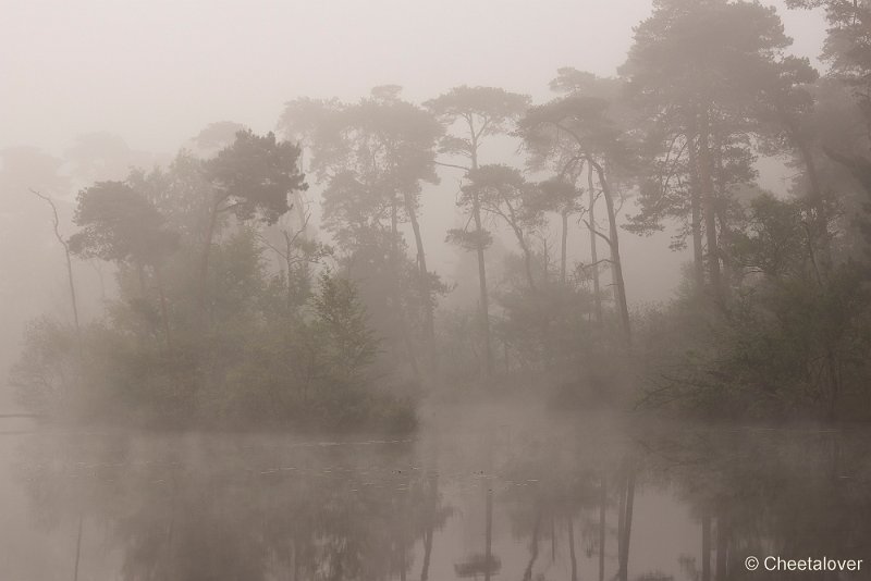 _DSC0012.JPG - Zonsopkomst, Oisterwijkse Vennen en Plassen.Voorste Goorven