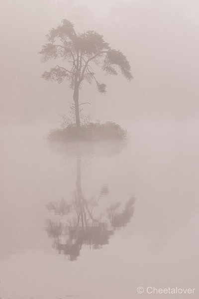 _DSC0017.JPG - Zonsopkomst, Oisterwijkse Vennen en Plassen.Voorste Goorven