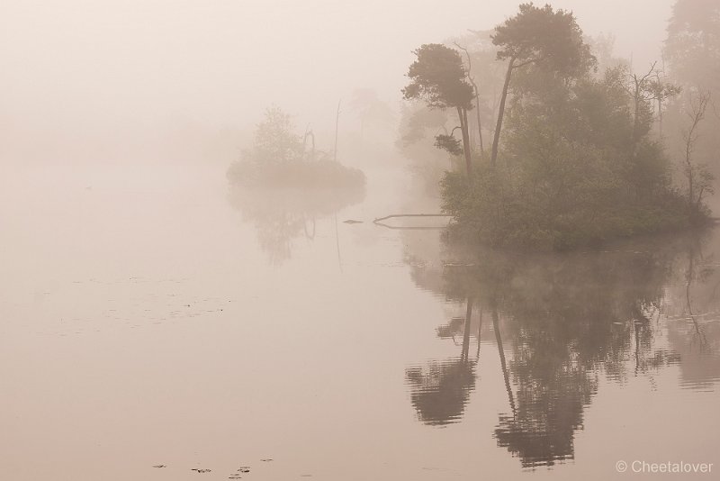 _DSC0031.JPG - Zonsopkomst, Oisterwijkse Vennen en Plassen.Voorste Goorven