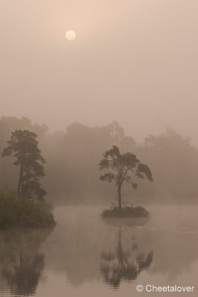 _DSC0040.JPG - Zonsopkomst, Oisterwijkse Vennen en Plassen.Voorste Goorven