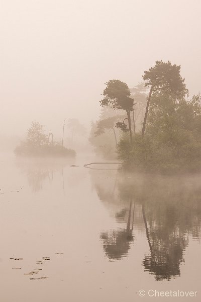 _DSC0057.JPG - Zonsopkomst, Oisterwijkse Vennen en Plassen.Voorste Goorven