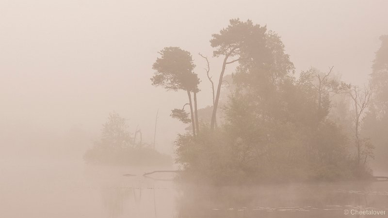 _DSC0062.JPG - Zonsopkomst, Oisterwijkse Vennen en Plassen.Voorste Goorven