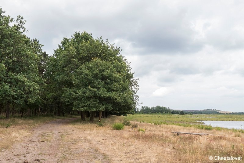 P1390375.JPG - Huis ter Heide