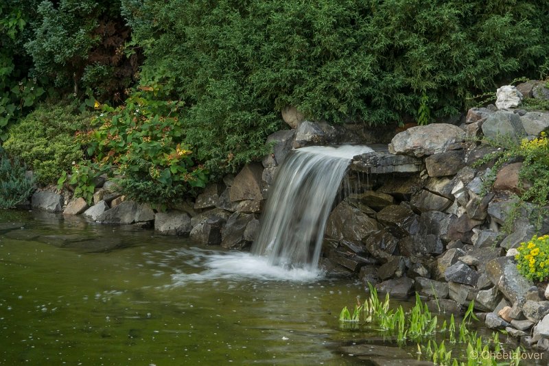 _DSC0103.JPG - Siertuin Het Arendsnest in Lozen, België