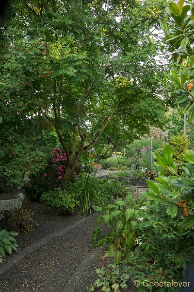 _DSC0109.JPG - Siertuin Het Arendsnest in Lozen, België