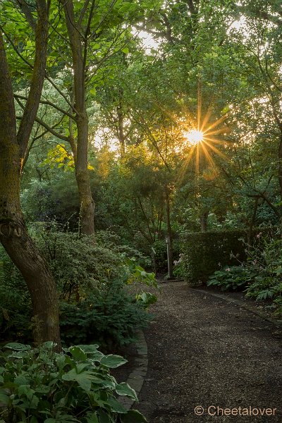 _DSC0119.JPG - Siertuin Het Arendsnest in Lozen, België