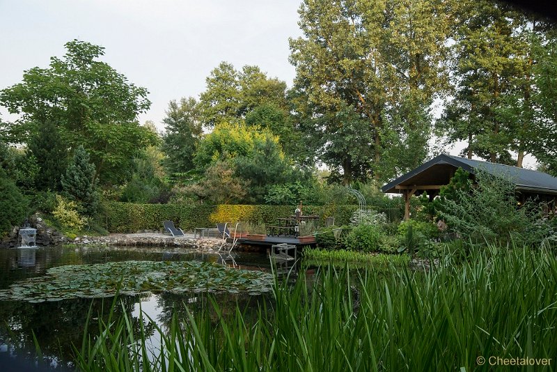 _DSC0122.JPG - Siertuin Het Arendsnest in Lozen, België