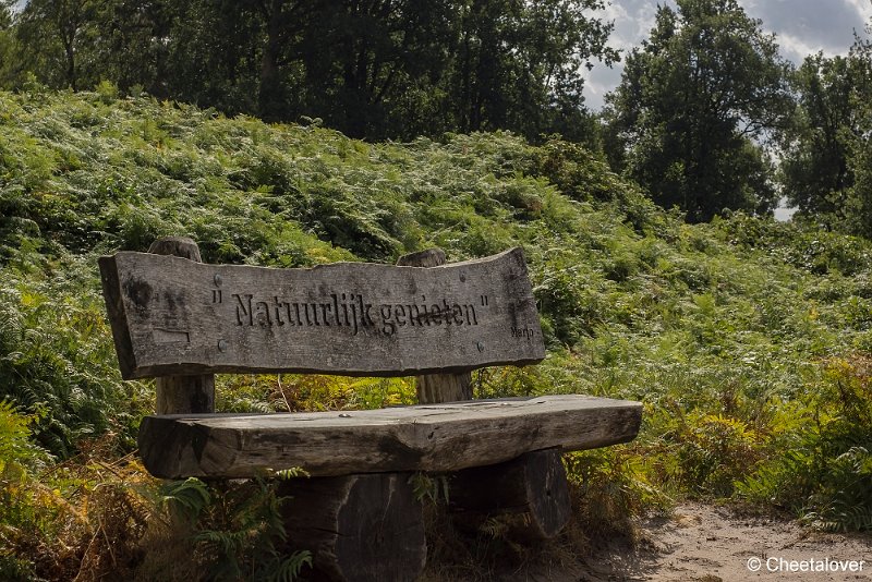 _DSC0006.JPG - Kampina