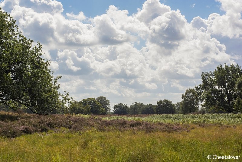 _DSC0011.JPG - Kampina