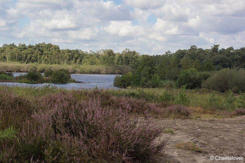 _DSC0015.JPG - Kampina