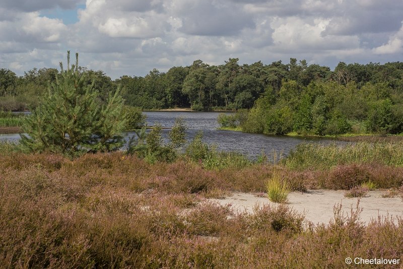 _DSC0019.JPG - Kampina