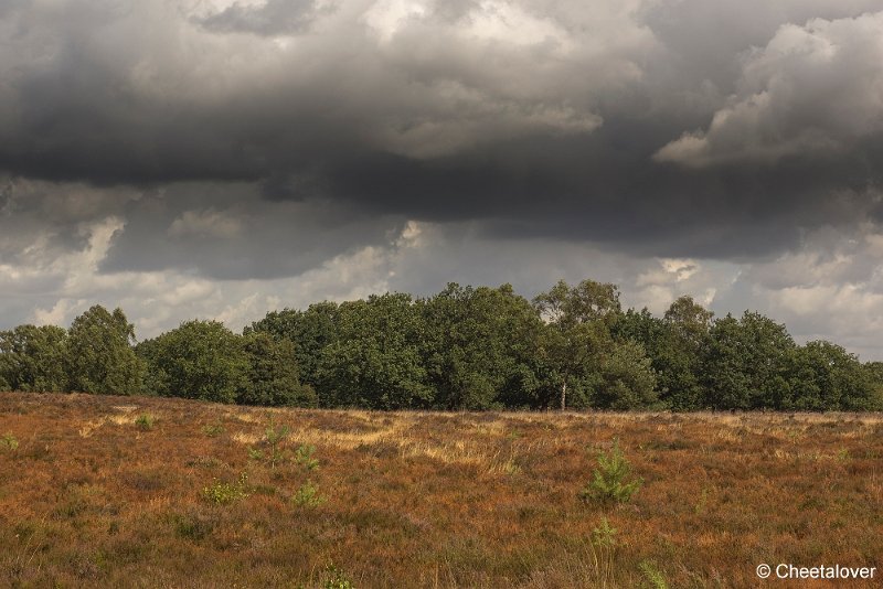 _DSC0026.JPG - Kampina