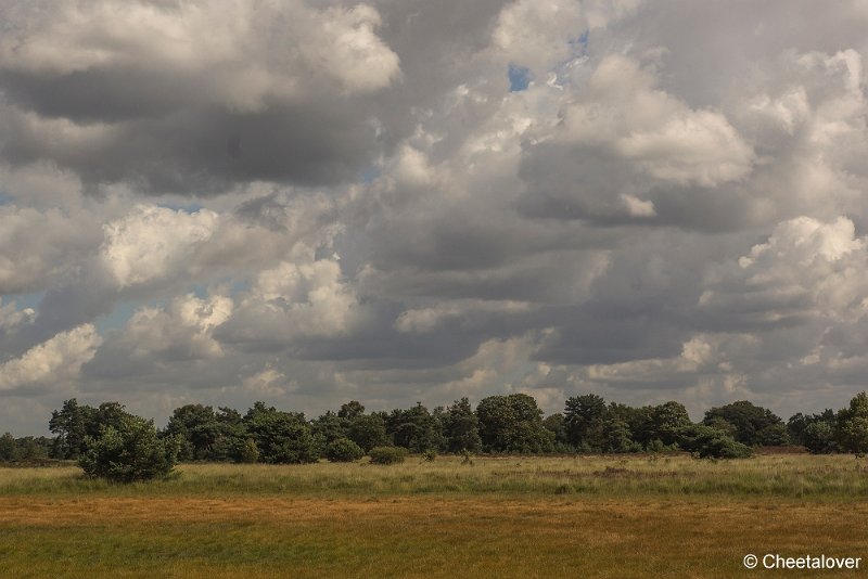 _DSC0033.JPG - Kampina