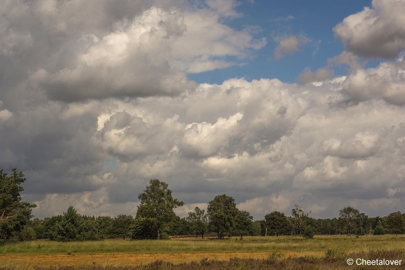 _DSC0037.JPG - Kampina