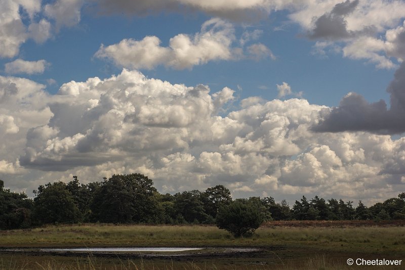 _DSC0046.JPG - Kampina