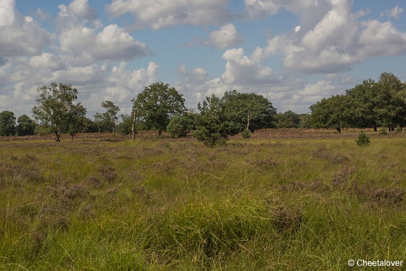 _DSC0047.JPG - Kampina