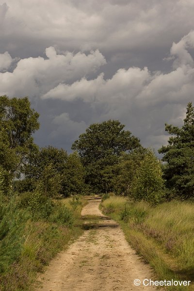 _DSC0053.JPG - Kampina