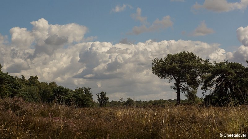 _DSC0059.JPG - Kampina