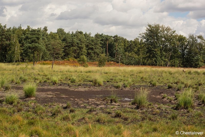 _DSC0066.JPG - Kampina