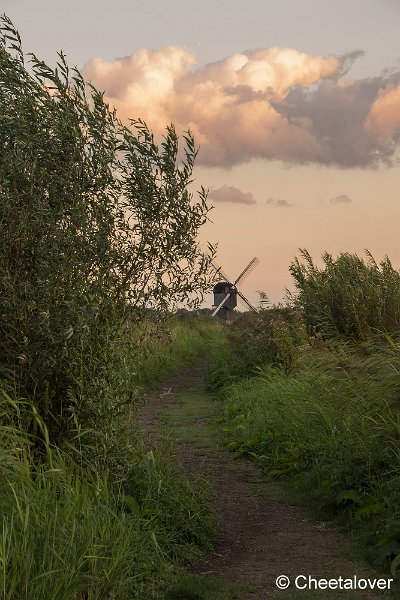 _DSC0023.JPG - Molens Kinderdijk