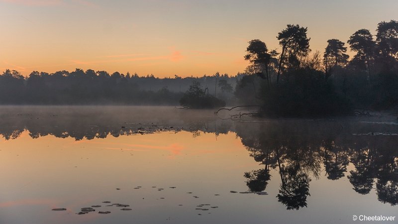 _DSC0010.JPG - Oisterwijkse Vennen en Plassen