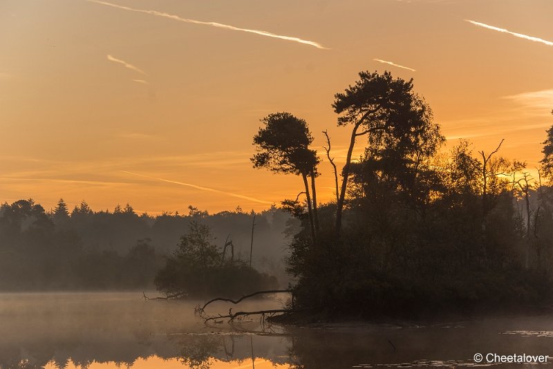 _DSC0037.JPG - Oisterwijkse Vennen en Plassen