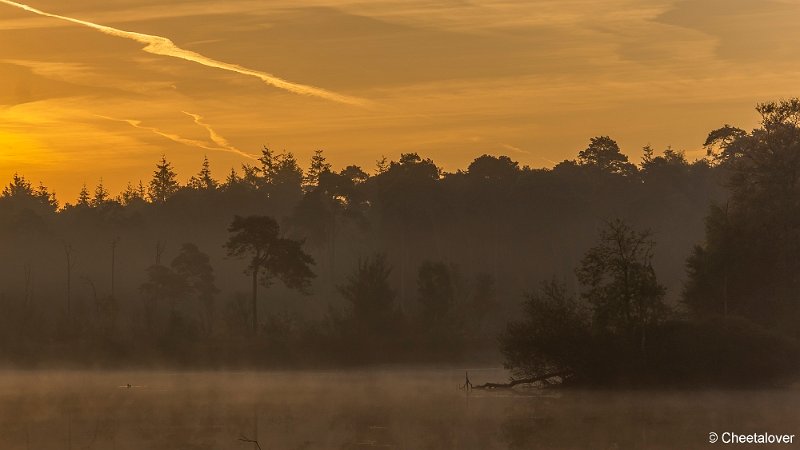 _DSC0045.JPG - Oisterwijkse Vennen en Plassen