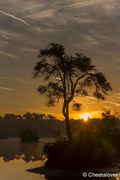 _DSC0049.JPG - Oisterwijkse Vennen en Plassen