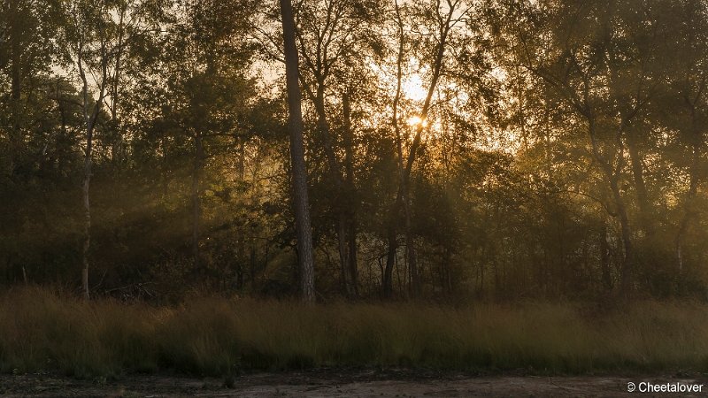 _DSC0080.JPG - Oisterwijkse Vennen en Plassen