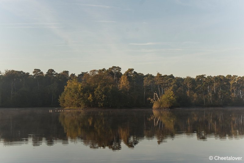 _DSC0094.JPG - Oisterwijkse Vennen en Plassen