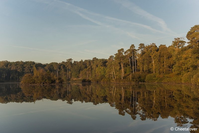 _DSC0098.JPG - Oisterwijkse Vennen en Plassen