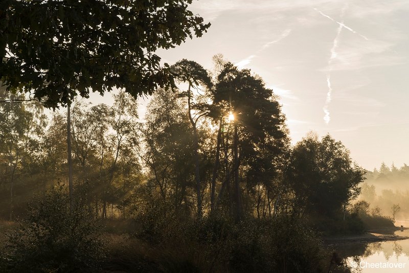 _DSC0118.JPG - Oisterwijkse Vennen en Plassen