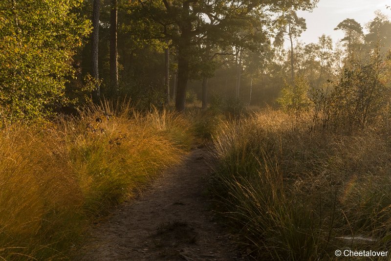 _DSC0121.JPG - Oisterwijkse Vennen en Plassen