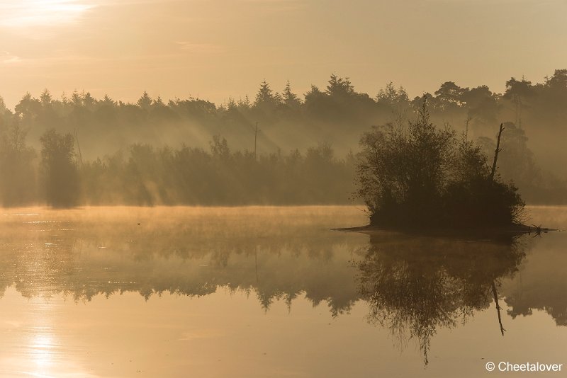 _DSC0124.JPG - Oisterwijkse Vennen en Plassen