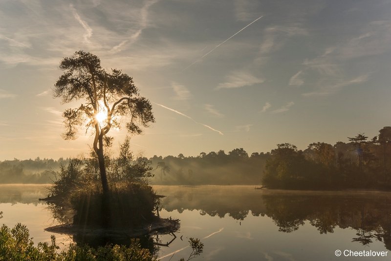 _DSC0132.JPG - Oisterwijkse Vennen en Plassen