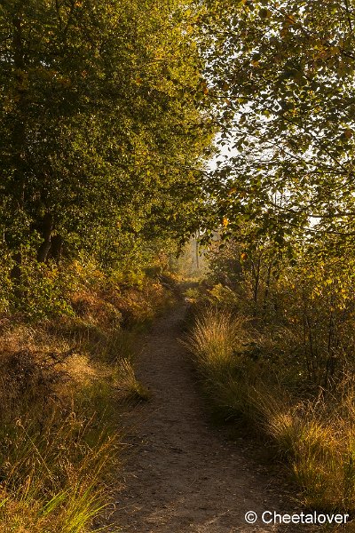 _DSC0135.JPG - Oisterwijkse Vennen en Plassen