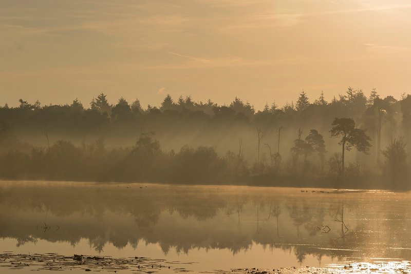 _DSC0136.JPG - Oisterwijkse Vennen en Plassen