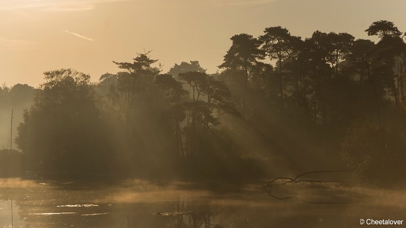 _DSC0140.JPG - Oisterwijkse Vennen en Plassen