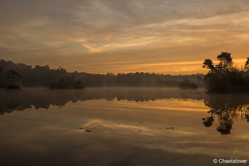 _DSC0013.JPG - Oisterwijkse Vennen en Plassen