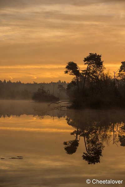 _DSC0015.JPG - Oisterwijkse Vennen en Plassen