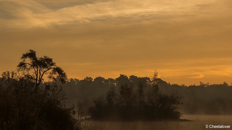 _DSC0028.JPG - Oisterwijkse Vennen en Plassen