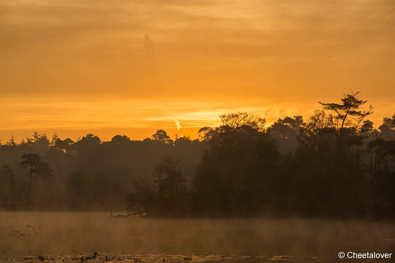 _DSC0030.JPG - Oisterwijkse Vennen en Plassen