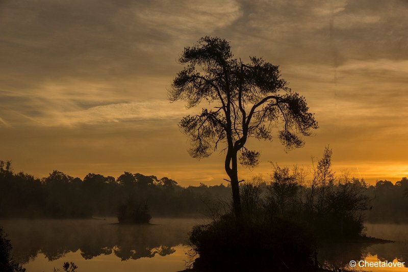 _DSC0034.JPG - Oisterwijkse Vennen en Plassen