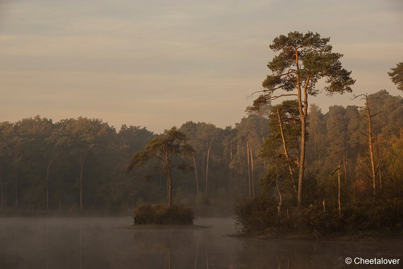 _DSC0045.JPG - Oisterwijkse Vennen en Plassen