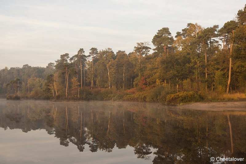 _DSC0058.JPG - Oisterwijkse Vennen en Plassen