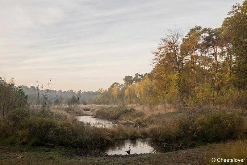 _DSC0110.JPG - Oisterwijkse Vennen en Plassen